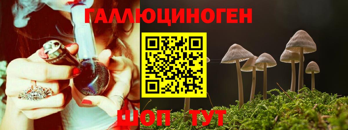 Галлюциногенные грибы GOLDEN TEACHER  Вход с VPN  наркотики  Бийск 
